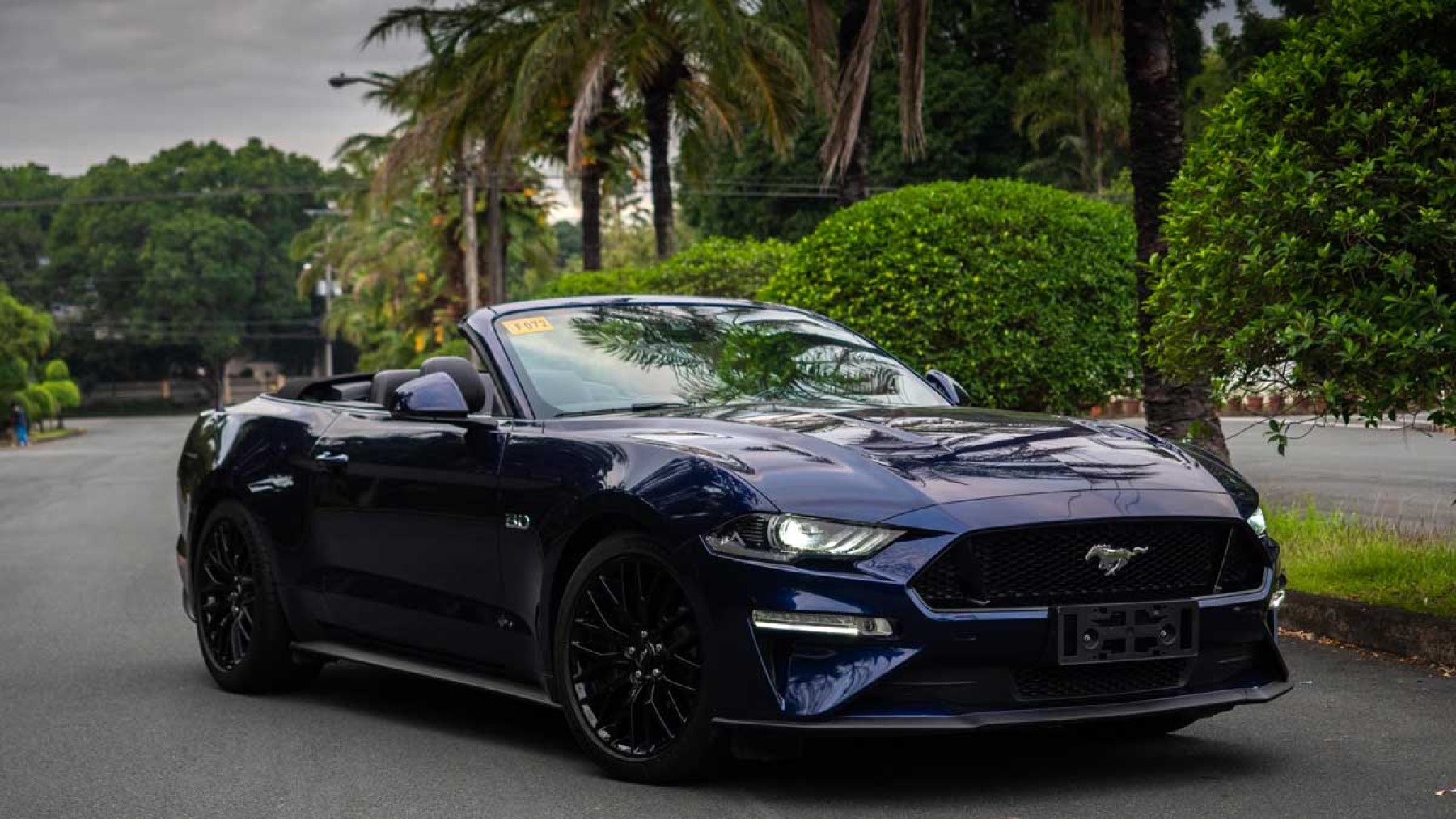 Stang